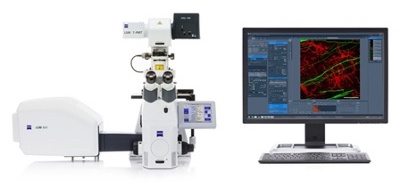 Zeiss LSM 800 microscope